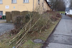 DSCF2084