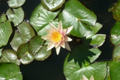 P1150793