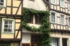 087_IMG_2860
