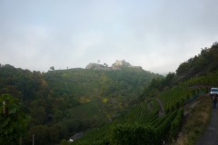 P1120575