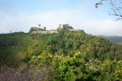P1120578