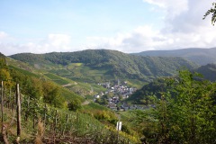 P1120598
