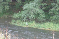 P1120623