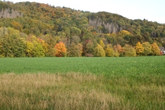 DSCF7566
