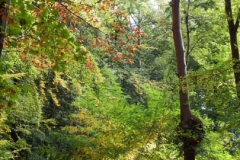 DSCF7574
