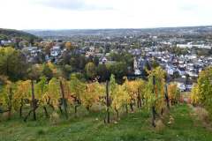 DSCF7583
