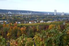 DSCF7586