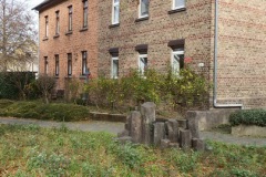 DSCF6835