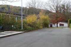 DSCF6837
