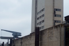 DSCF5810