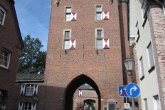 IMG_5481