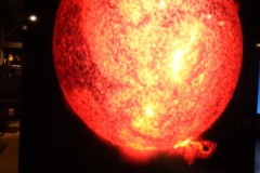 DSCF7495