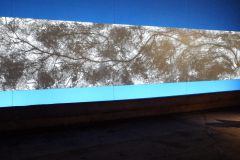 DSCF7498
