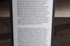 DSCF7512