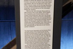 DSCF7517