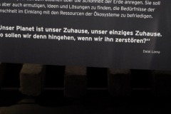 DSCF7529