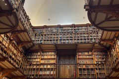 03_9915f019-0808-4a24-9c8d-47800ffecbd5