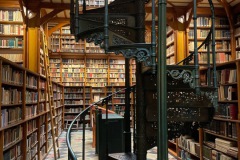 09_fe7e5bb8-a80f-4171-a0a4-f67a8b46881d