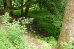 P1140153