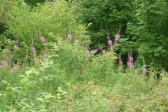 P1140158