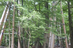 P1140176