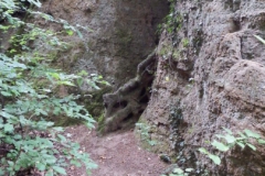 DSCF7455