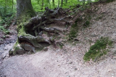 DSCF7462