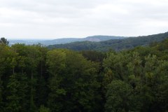DSCF7473
