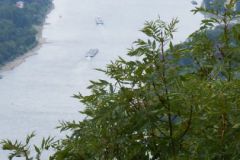 DSCF7484