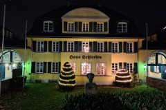 IMG_20251130_174055481_HDR